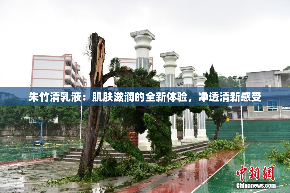 朱竹清乳液：肌肤滋润的全新体验，净透清新感受