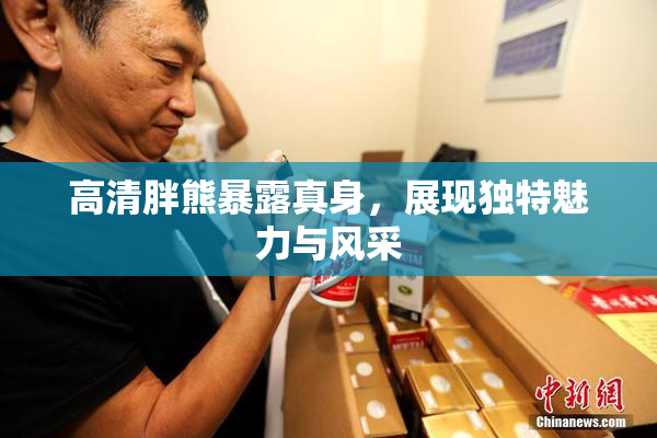 高清胖熊暴露真身，展现独特魅力与风采