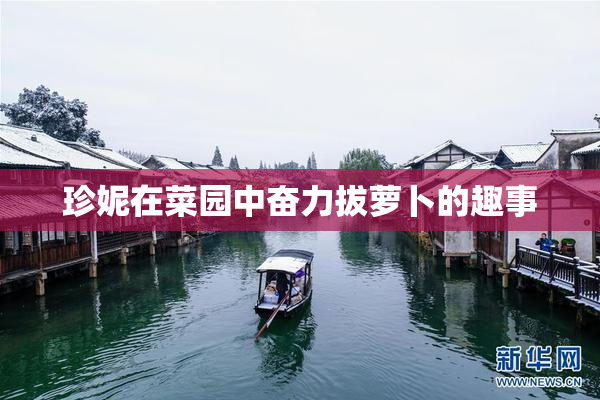 珍妮在菜园中奋力拔萝卜的趣事