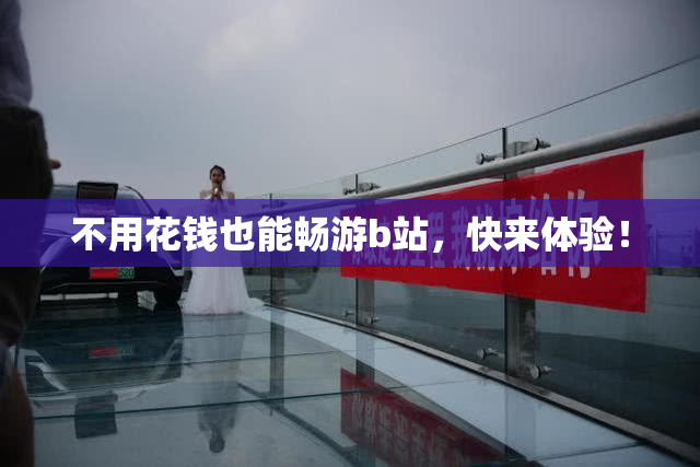 不用花钱也能畅游b站，快来体验！