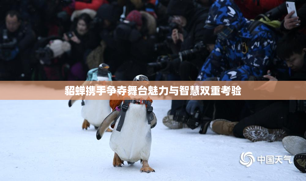貂蝉携手争夺舞台魅力与智慧双重考验
