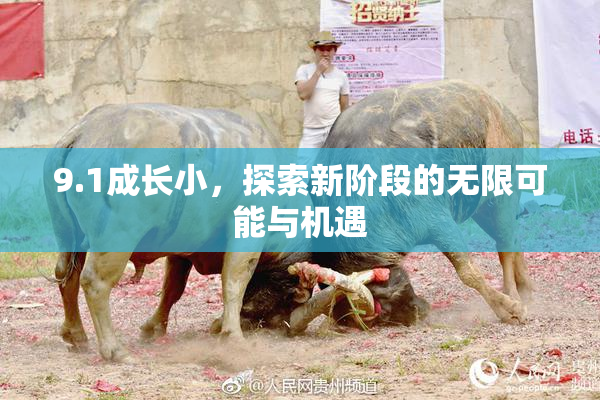 9.1成长小，探索新阶段的无限可能与机遇