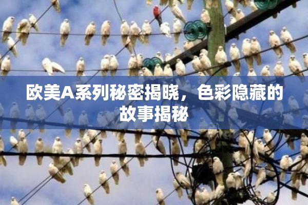 欧美A系列秘密揭晓，色彩隐藏的故事揭秘