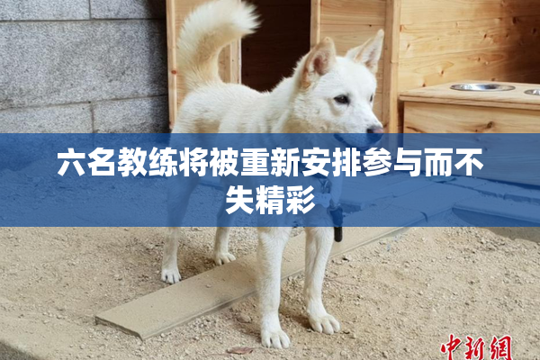 六名教练将被重新安排参与而不失精彩