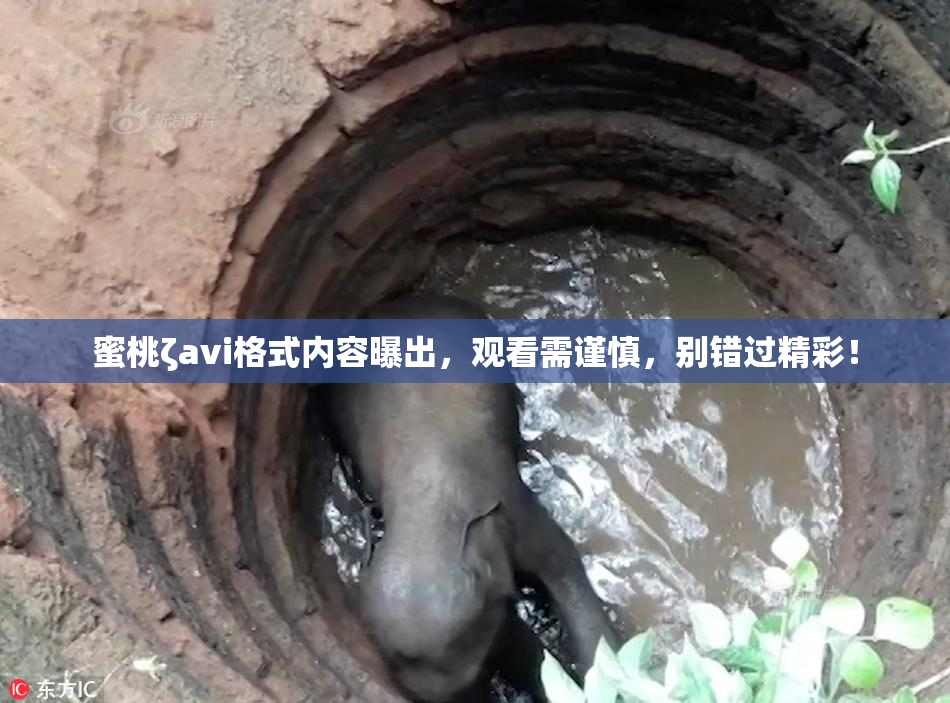 蜜桃ζavi格式内容曝出，观看需谨慎，别错过精彩！