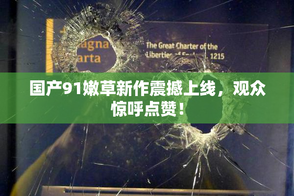 国产91嫩草新作震撼上线，观众惊呼点赞！