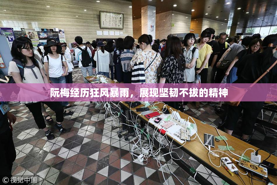 阮梅经历狂风暴雨，展现坚韧不拔的精神