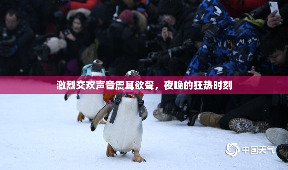 激烈交欢声音震耳欲聋，夜晚的狂热时刻