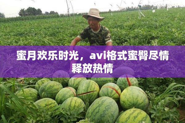 蜜月欢乐时光，avi格式蜜臀尽情释放热情