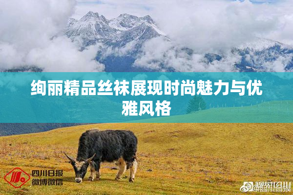 绚丽精品丝袜展现时尚魅力与优雅风格