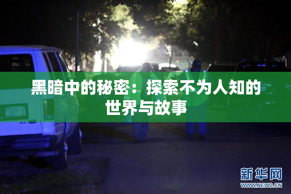 黑暗中的秘密：探索不为人知的世界与故事