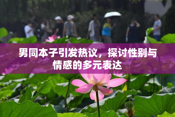 男同本子引发热议，探讨性别与情感的多元表达
