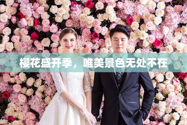 樱花盛开季，唯美景色无处不在