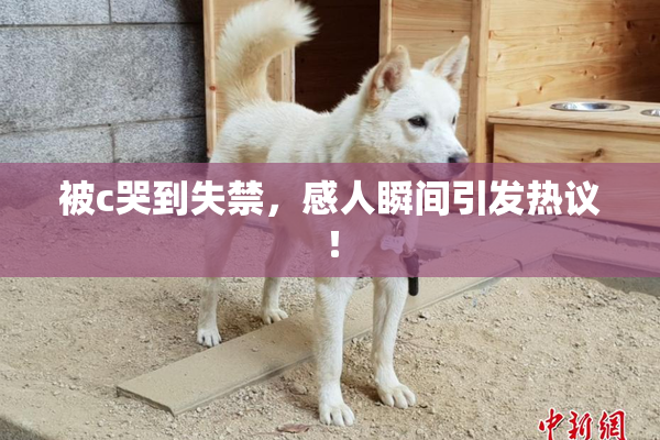 被c哭到失禁，感人瞬间引发热议！