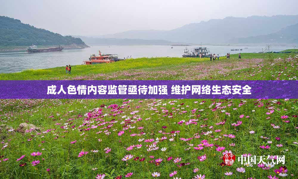 成人色情内容监管亟待加强 维护网络生态安全