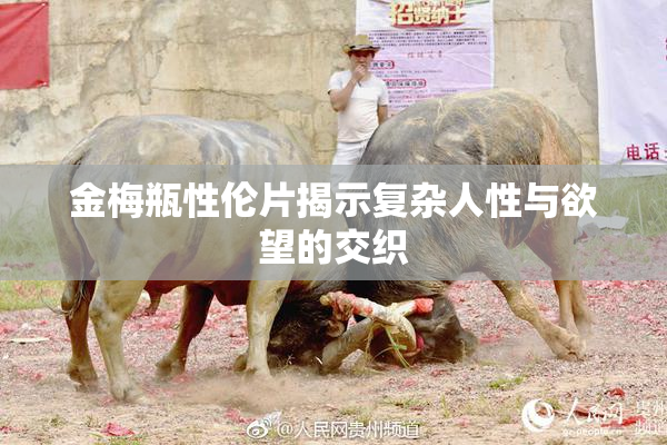 金梅瓶性伦片揭示复杂人性与欲望的交织