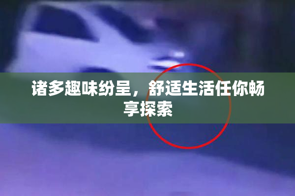 诸多趣味纷呈，舒适生活任你畅享探索