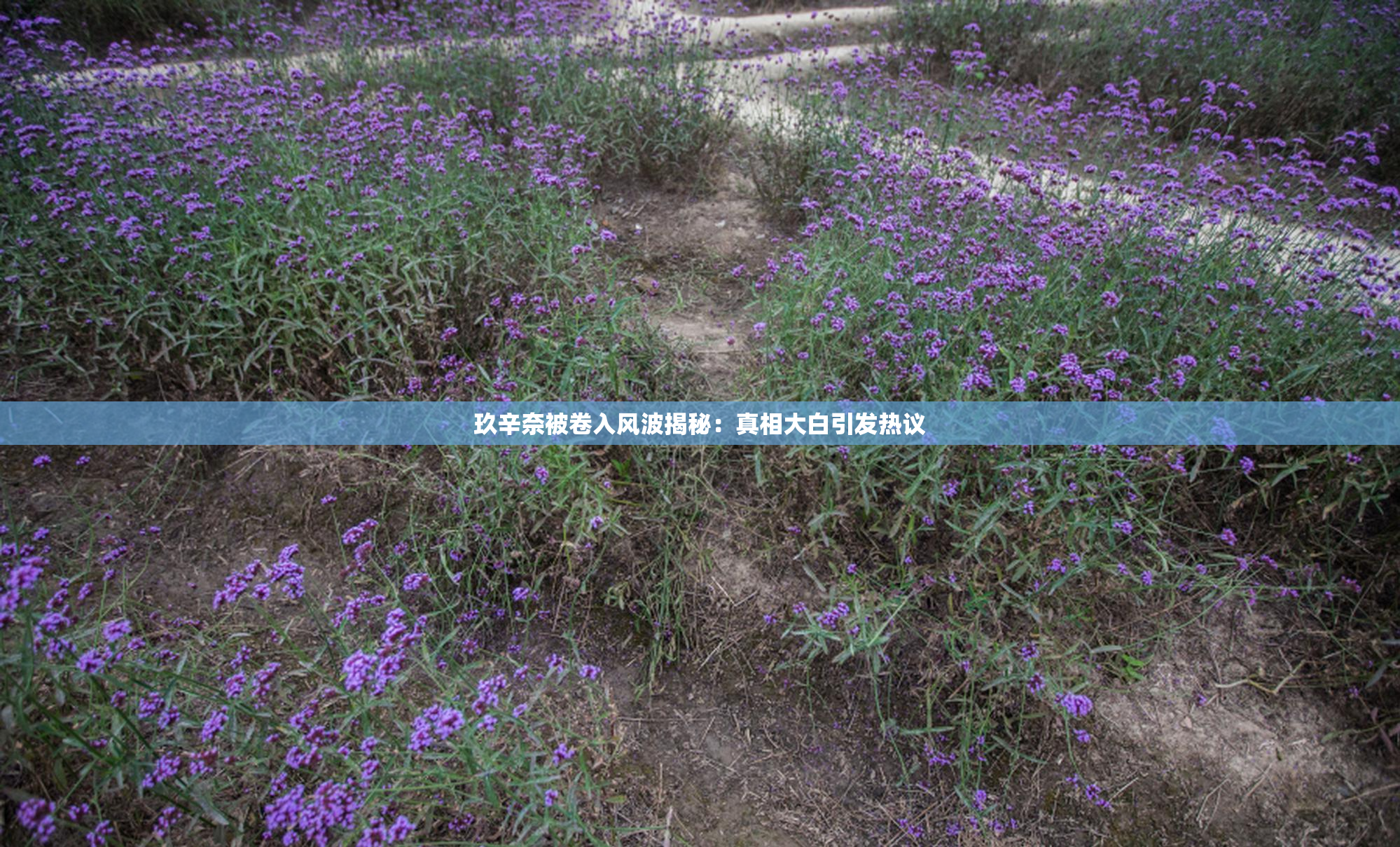 玖辛奈被卷入风波揭秘：真相大白引发热议