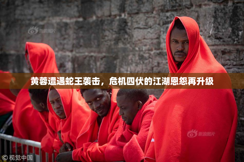 黄蓉遭遇蛇王袭击，危机四伏的江湖恩怨再升级