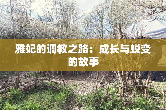 雅妃的调教之路：成长与蜕变的故事