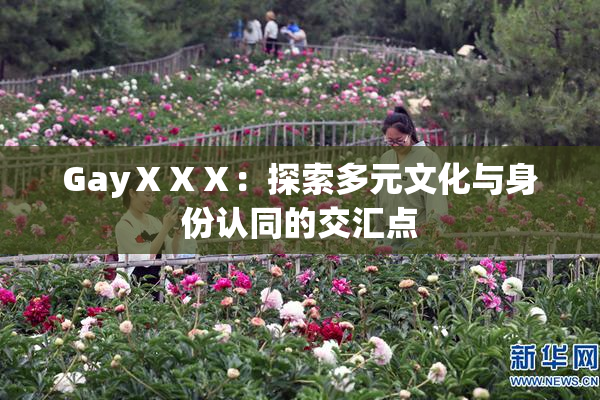 GayⅩⅩⅩ：探索多元文化与身份认同的交汇点