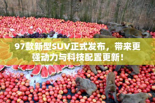 97款新型SUV正式发布，带来更强动力与科技配置更新！