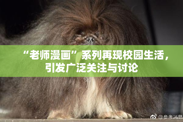 “老师漫画”系列再现校园生活，引发广泛关注与讨论