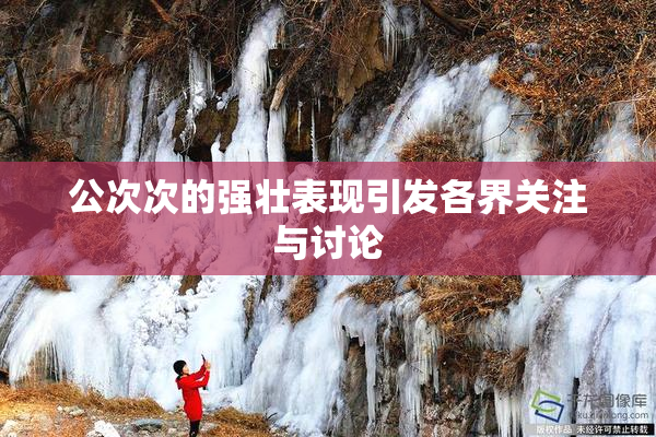 公次次的强壮表现引发各界关注与讨论