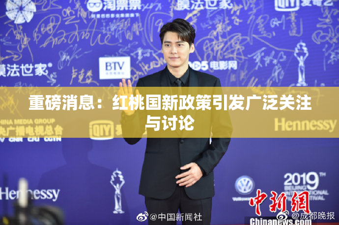重磅消息：红桃国新政策引发广泛关注与讨论