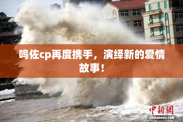 鸣佐cp再度携手，演绎新的爱情故事！
