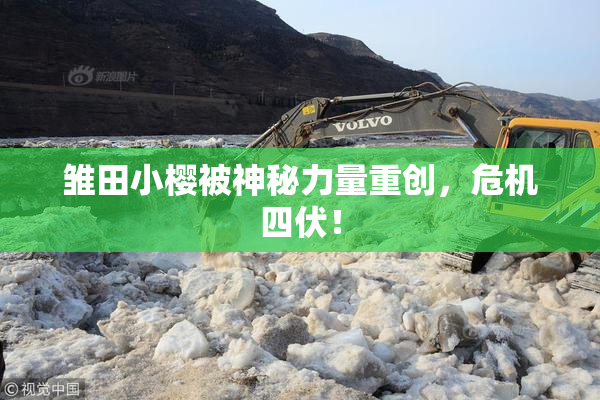 雏田小樱被神秘力量重创，危机四伏！