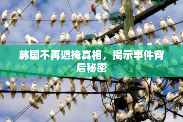 韩国不再遮掩真相，揭示事件背后秘密