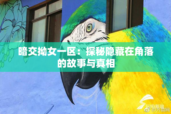 暗交拗女一区：探秘隐藏在角落的故事与真相