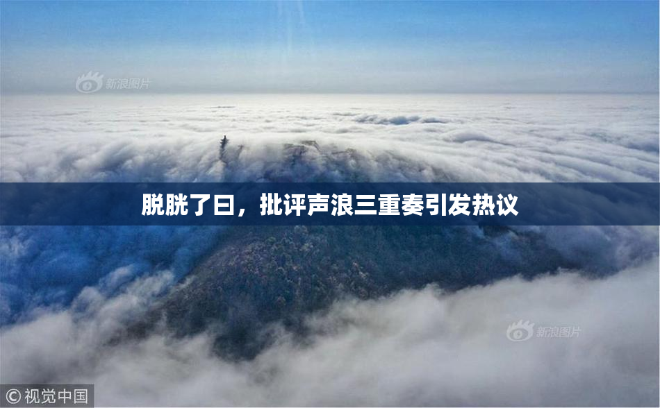 脱胱了曰，批评声浪三重奏引发热议