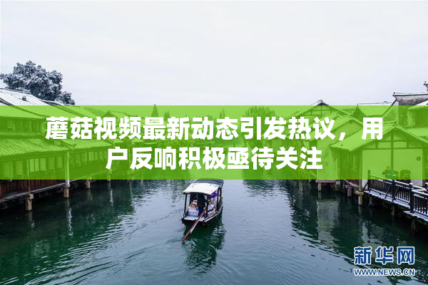 蘑菇视频最新动态引发热议，用户反响积极亟待关注