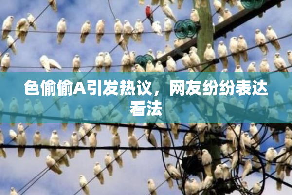 色偷偷A引发热议，网友纷纷表达看法
