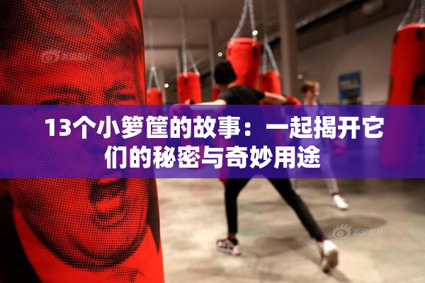 13个小箩筐的故事：一起揭开它们的秘密与奇妙用途
