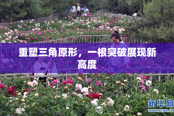 重塑三角原形，一根突破展现新高度