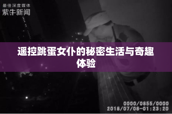遥控跳蛋女仆的秘密生活与奇趣体验