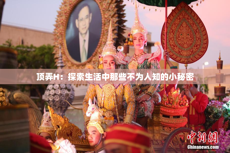 顶弄H：探索生活中那些不为人知的小秘密