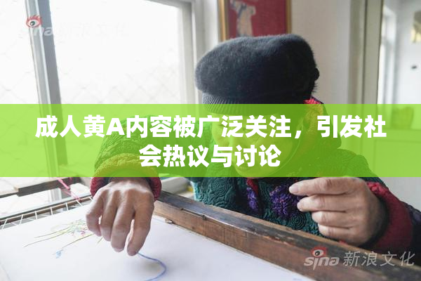 成人黄A内容被广泛关注，引发社会热议与讨论