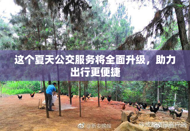 这个夏天公交服务将全面升级，助力出行更便捷