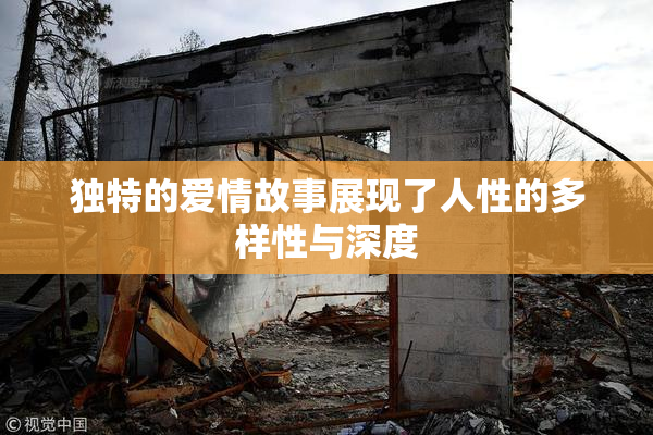 独特的爱情故事展现了人性的多样性与深度