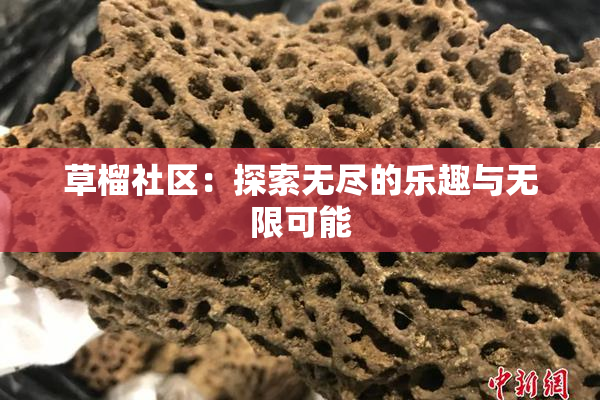 草榴社区：探索无尽的乐趣与无限可能