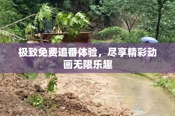 极致免费追番体验，尽享精彩动画无限乐趣