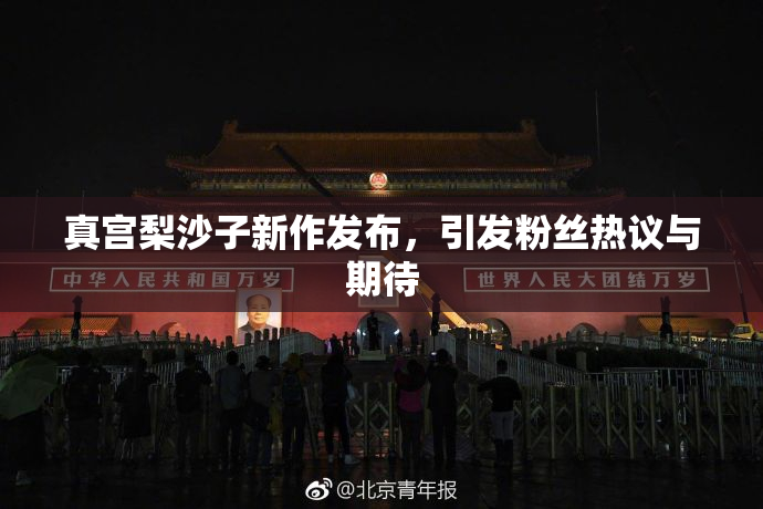 真宫梨沙子新作发布，引发粉丝热议与期待