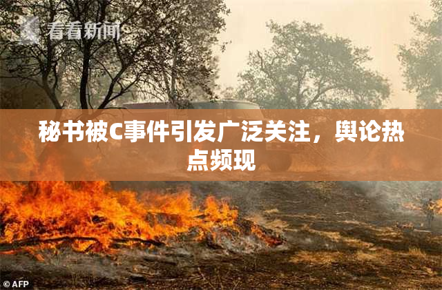 秘书被C事件引发广泛关注，舆论热点频现