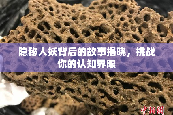 隐秘人妖背后的故事揭晓，挑战你的认知界限