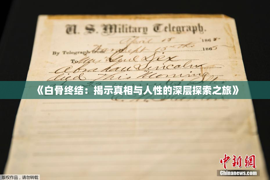 《白骨终结：揭示真相与人性的深层探索之旅》