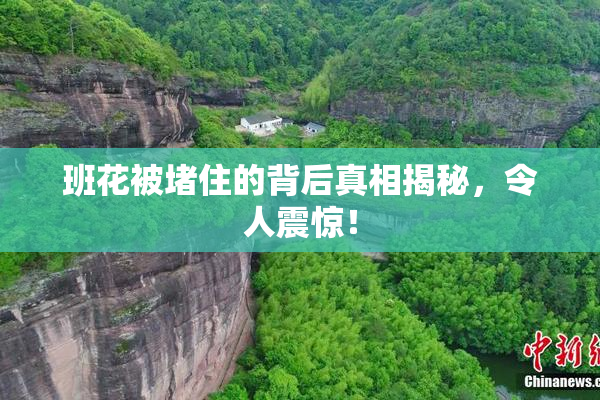 班花被堵住的背后真相揭秘，令人震惊！